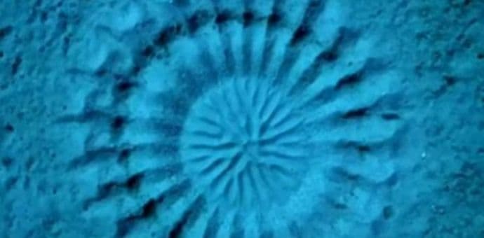 VIDEO: Misteriozni krugovi u moru - nesvakidašnji "ljubavni zov" VIDEO: Misteriozni krugovi u moru - nesvakidašnji "ljubavni zov"