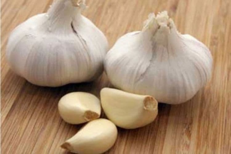 Napravite najjači prirodni antibiotik Napravite najjači prirodni antibiotik