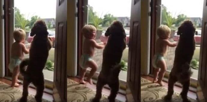 Ko se više raduje tati – dječak ili pas? Ko se više raduje tati – dječak ili pas?