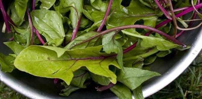 Namirnice koje ublažavaju stres Namirnice koje ublažavaju stres