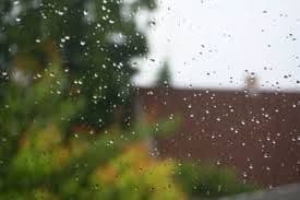 Sjutra oblačno sa kišom    Sjutra oblačno sa kišom