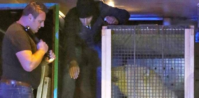 Kalai: Tri migranta i polarni medvjed pronađeni u kamionu (VIDEO) Kalai: Tri migranta i polarni medvjed pronađeni u kamionu (VIDEO)