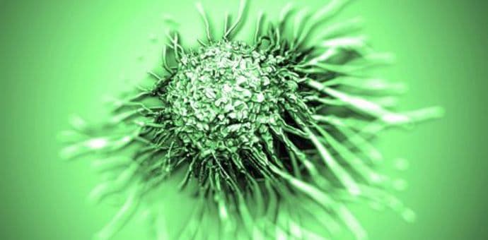 Slučajno pronađen lijek protiv raka? Slučajno pronađen lijek protiv raka?