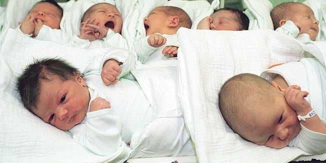 KCCG: Rođeno osam beba  KCCG: Rođeno osam beba