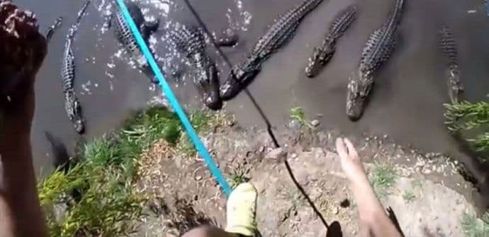 Ne poznaje strah: Šetao po žici preko bare sa krokodilima (VIDEO) Ne poznaje strah: Šetao po žici preko bare sa krokodilima (VIDEO)