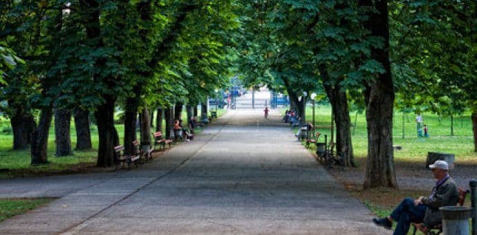 Sjutra sunčano, do 24 stepena Sjutra sunčano, do 24 stepena