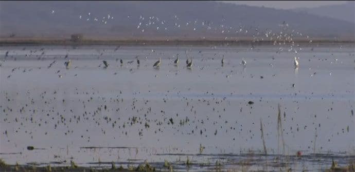 CZIP: Ulcinjska solana na korak od proglašenja zaštićenim područjem CZIP: Ulcinjska solana na korak od proglašenja zaštićenim područjem