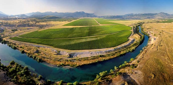 Plantaže ostvarile pozitivan rezultat Plantaže ostvarile pozitivan rezultat