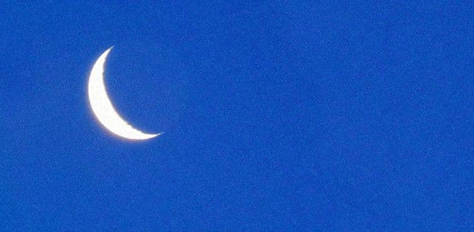 ĐOTIŠ: Nedjeljni bioritam (2. novembar - 8. novembar) ĐOTIŠ: Nedjeljni bioritam (2. novembar - 8. novembar)