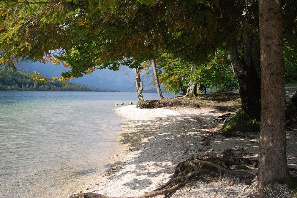 TomDispatch: Dobro došli na novu planetu TomDispatch: Dobro došli na novu planetu