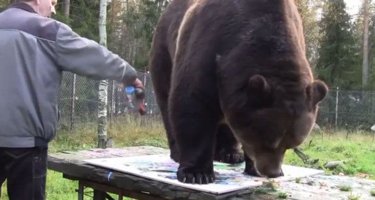 Juuso je medvjed umjetnik, njegove slike hit  u Finskoj Juuso je medvjed umjetnik, njegove slike hit  u Finskoj
