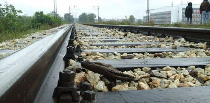 Počinje potraga za nacističkim zlatnim vozom u Poljskoj Počinje potraga za nacističkim zlatnim vozom u Poljskoj