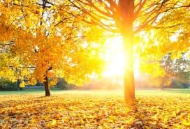 Sjutra sunčano, do 23 stepena Sjutra sunčano, do 23 stepena