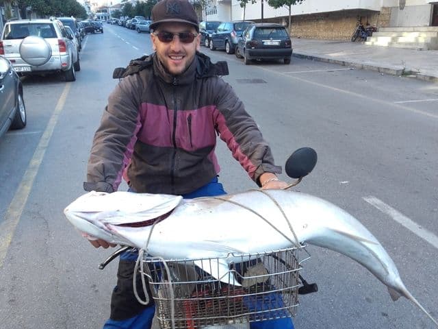 Na Velikoj plaži i dalje se love kapitalci Na Velikoj plaži i dalje se love kapitalci