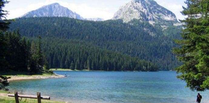 Na tijelu trudnice nije bilo tragova nasilja Na tijelu trudnice nije bilo tragova nasilja