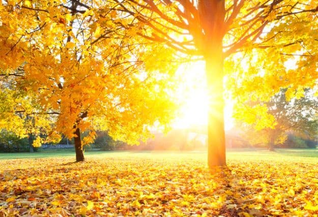 Pretežno sunčano, temperatura do 24 stepena Pretežno sunčano, temperatura do 24 stepena