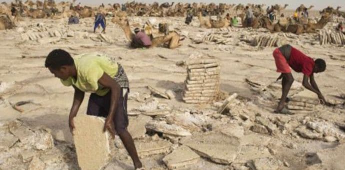 Vlada Etiopije dijeli hranu ljudima koji se suočavaju s glađu Vlada Etiopije dijeli hranu ljudima koji se suočavaju s glađu