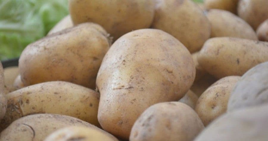 Vraćene 22 tone kosovskog krompira Vraćene 22 tone kosovskog krompira