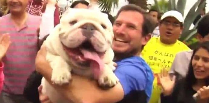 Buldog ušao u Ginisovu knjigu Buldog ušao u Ginisovu knjigu