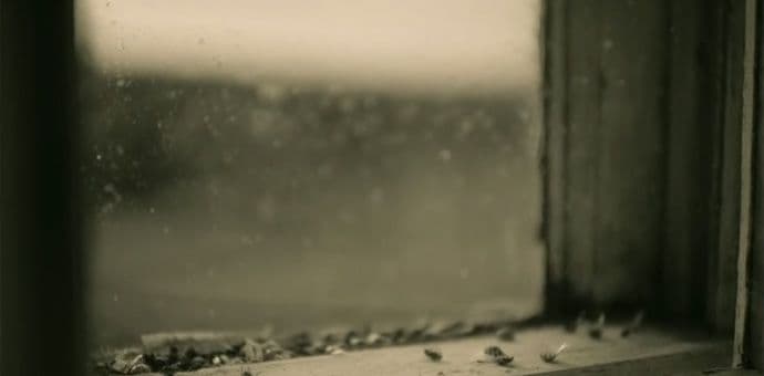 Većina žena bi nazvala bivšu ljubav nakon slušanja ove pjesme (VIDEO) Većina žena bi nazvala bivšu ljubav nakon slušanja ove pjesme (VIDEO)