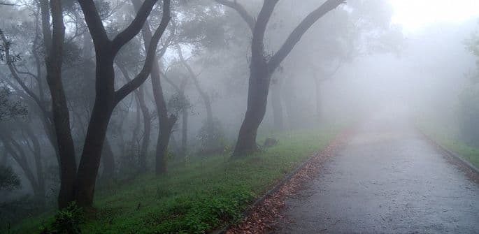 ĐOTIŠ: Nedjeljni bioritam (16. novembar - 22. novembar) ĐOTIŠ: Nedjeljni bioritam (16. novembar - 22. novembar)