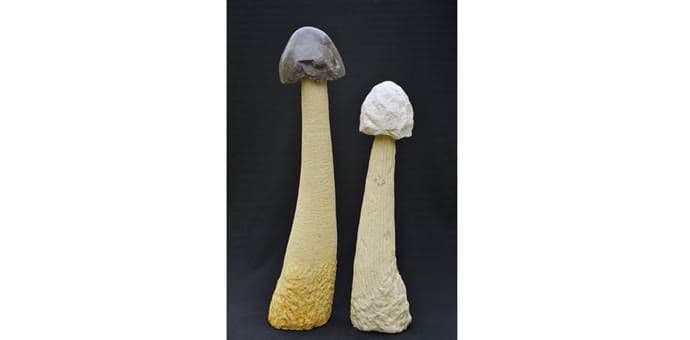 Kamene skulpture Balše Kalača u Modernoj galeriji Kamene skulpture Balše Kalača u Modernoj galeriji