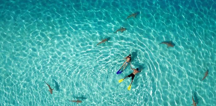 Dronestagram je Instagram za fotografije nastale dronom Dronestagram je Instagram za fotografije nastale dronom