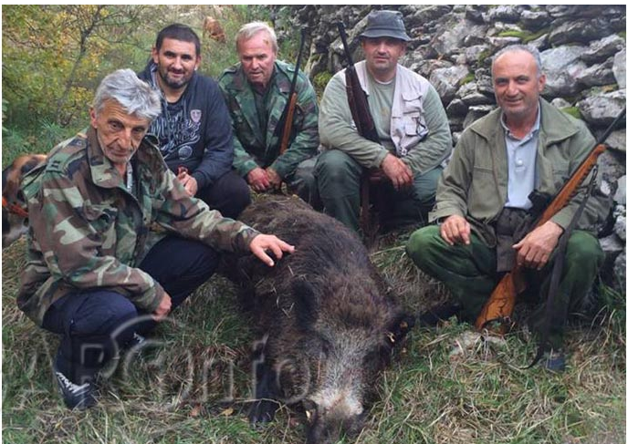 Ulovili vepra od skoro 200 kila Ulovili vepra od skoro 200 kila