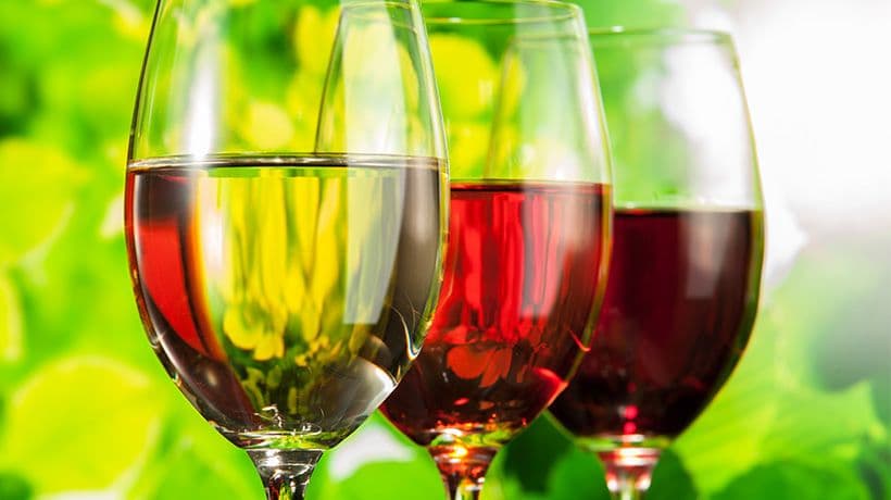 Obuka vinara za elektronsko vođenje dnevnika proizvodnje  Obuka vinara za elektronsko vođenje dnevnika proizvodnje