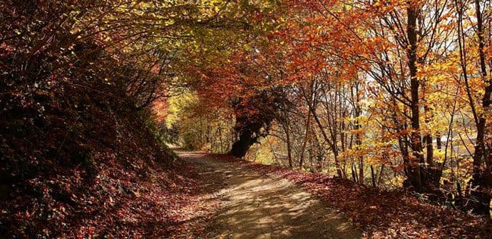 Najtopliji oktobar od kada se bilježe podaci Najtopliji oktobar od kada se bilježe podaci