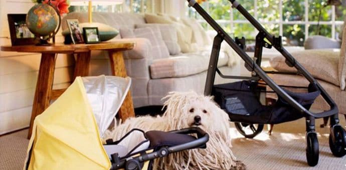 Zakerberg uzima dva mjeseca „porodiljskog odsustva“ Zakerberg uzima dva mjeseca „porodiljskog odsustva“