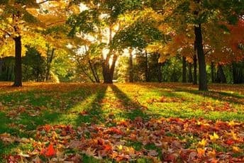 Miholjsko ljeto ne posustaje, evo kakvo nas vrijeme očekuje narednih dana