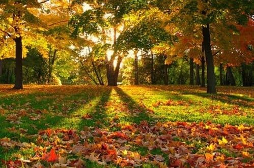 Danas pretežno sunčano, najviša dnevna temperatura do 23 stepena