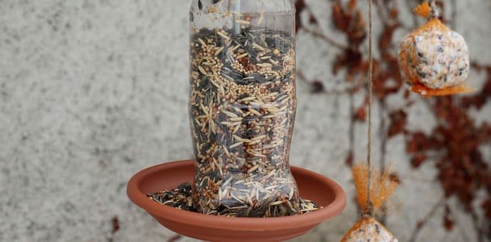 CZIP: Ptice treba hraniti zimi CZIP: Ptice treba hraniti zimi