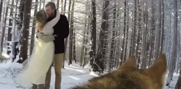 Pogledajte zašto je snimak ovog vjenčanja vidjelo preko dva miliona ljudi! Pogledajte zašto je snimak ovog vjenčanja vidjelo preko dva miliona ljudi!