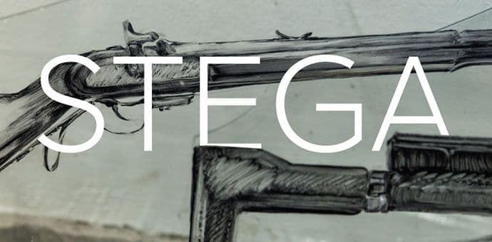 DEAC: "Stega" završna postavka rezidencijalnog boravka Evgenije Čajkovske DEAC: "Stega" završna postavka rezidencijalnog boravka Evgenije Čajkovske