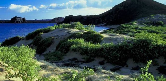 Ruski naftni tanker se nasukao, izlilo se gorivo Ruski naftni tanker se nasukao, izlilo se gorivo