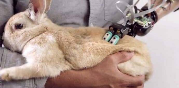 Robotski prsti osjećaju koliko je meka dlaka vaših ljubimaca Robotski prsti osjećaju koliko je meka dlaka vaših ljubimaca