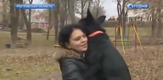Pas prešao 300 kilometara da bi pronašao veterinarku koja mu je spasila život Pas prešao 300 kilometara da bi pronašao veterinarku koja mu je spasila život