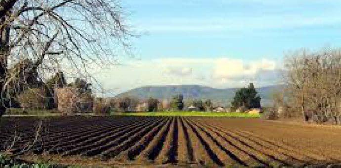 Novine u osiguranju u poljoprivredi Novine u osiguranju u poljoprivredi