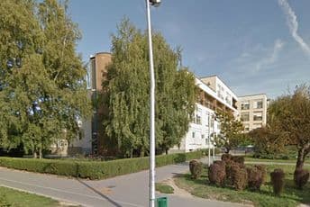 Bjelovar: Priveden očuh monstrum, silovao dvogodišnju djevojčicu
