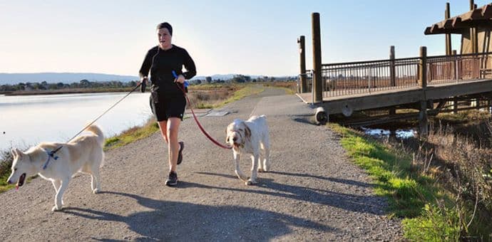 Koji sport odgovara vašem horoskopskom znaku Koji sport odgovara vašem horoskopskom znaku