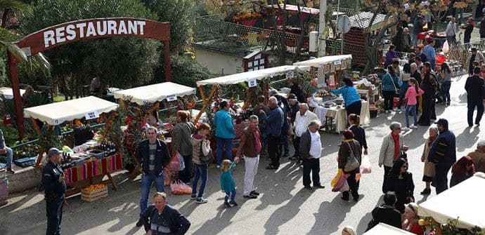 Bar: Nagrađena četiri maslinara Bar: Nagrađena četiri maslinara