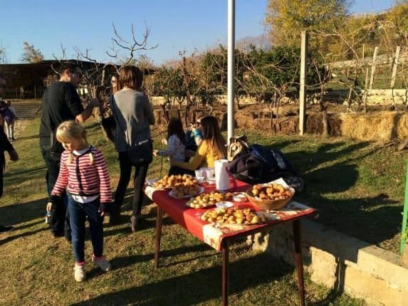 FOTO: Novogodišnji bal na Farmi magaraca Martinići FOTO: Novogodišnji bal na Farmi magaraca Martinići