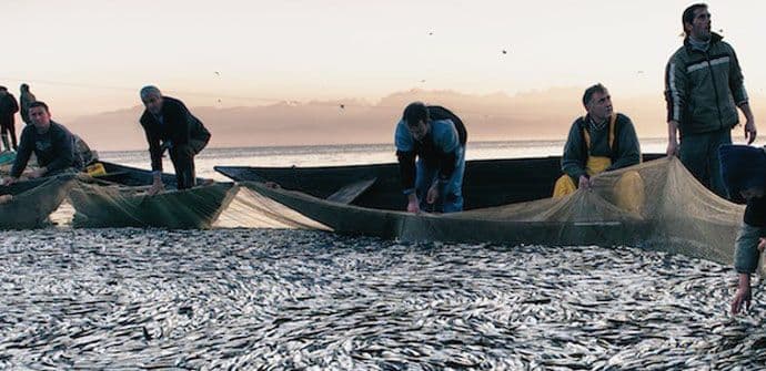 EU: Crna Gora spremna za početak pregovora u oblasti ribarstva EU: Crna Gora spremna za početak pregovora u oblasti ribarstva