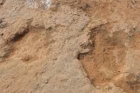 TUNIS: Naučnici otkrili 100 otisaka dinosaurusa TUNIS: Naučnici otkrili 100 otisaka dinosaurusa