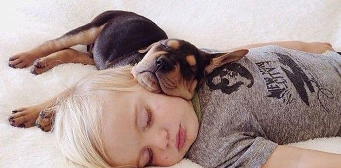 Da li je štetno spavati sa ljubimcima u krevetu? Da li je štetno spavati sa ljubimcima u krevetu?