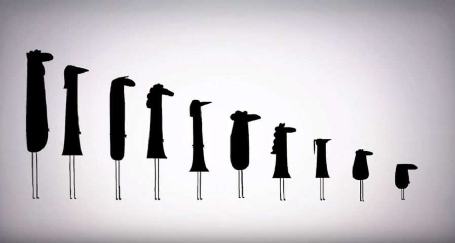 Zagonetka koja je zaludjela internet Zagonetka koja je zaludjela internet