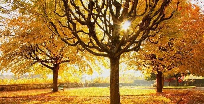 Danas do 18 stepeni   Danas do 18 stepeni