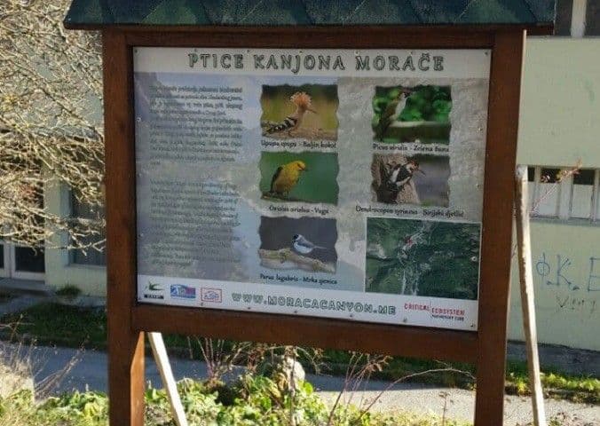 (FOTO) Info table o pticama u kanjonu Morače (FOTO) Info table o pticama u kanjonu Morače